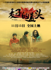 小h片